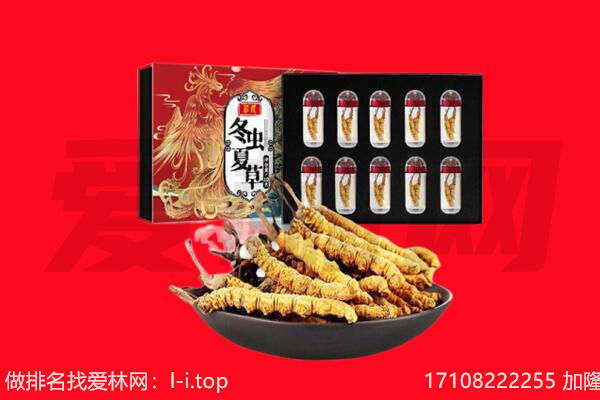 安新县回收虫草.jpg